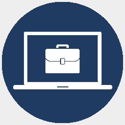 icon VirtualBusinessAcademy grey1